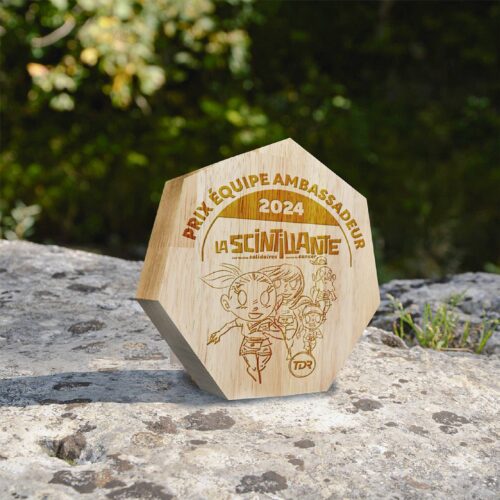 Trophée bois en forme de diamant pour vos courses, trails, club sportif, club d'entreprise